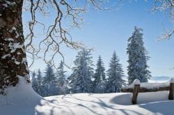 國(guó)家版本馆数字藏品(pǐn)上線(xiàn)