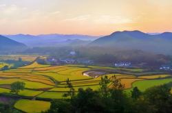 电竞比赛奖金丰厚，选手们激(jī)烈角逐