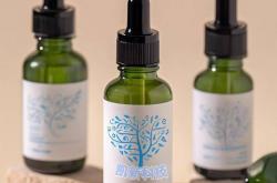 掌握One-Step Blue Protein Gel Stain, 1X 试剂的使用方法