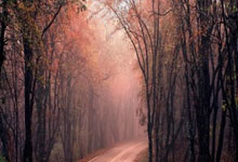 可以赚钱的正规游戏排名，十大良心可靠的赚钱游戏推荐