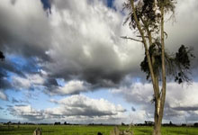 传奇游戏可以赚钱吗？游戏行业代理推广有多赚钱？